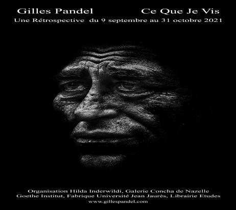 Exposition Gilles Pandel